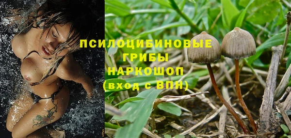 apvp Новодвинск
