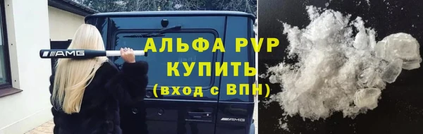 хмурый Новозыбков