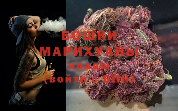 хмурый Новозыбков