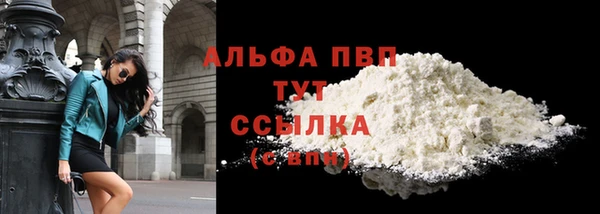 хмурый Новозыбков