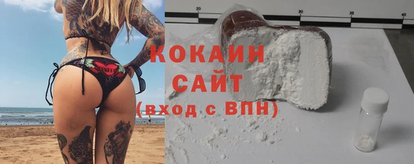 хмурый Новозыбков