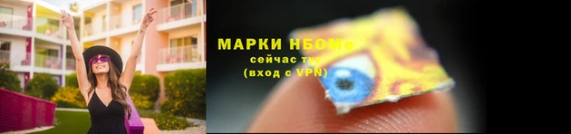 a pvp Новокубанск