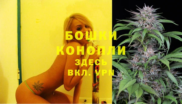хмурый Новозыбков