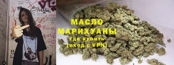 хмурый Новозыбков