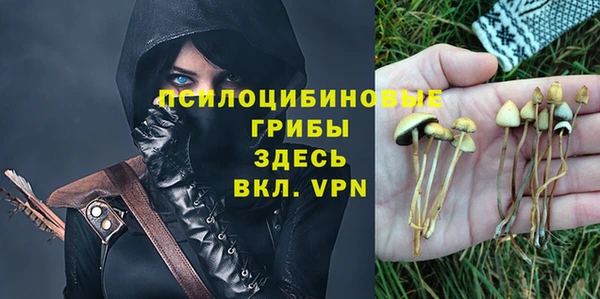 a pvp Новокубанск