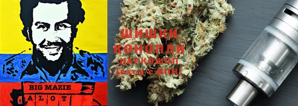 хмурый Новозыбков