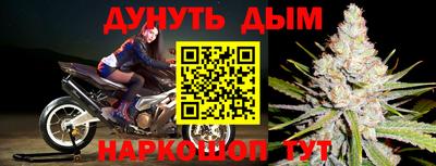 каннабис Новодвинск