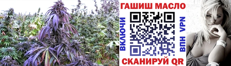 ТГК Wax  Урус-Мартан 