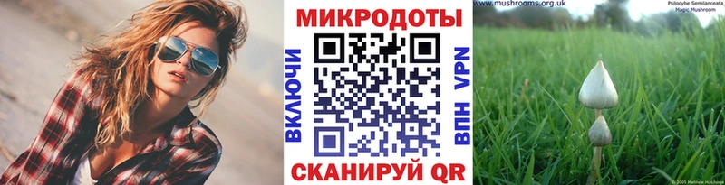 Псилоцибиновые грибы ЛСД  даркнет сайт  Урус-Мартан 